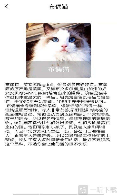 贝贝宠物百科