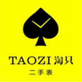 淘只二手表