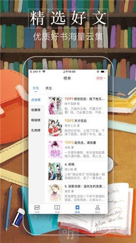 黛妃小说