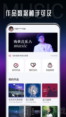 海葵分贝