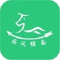 疾风镖局