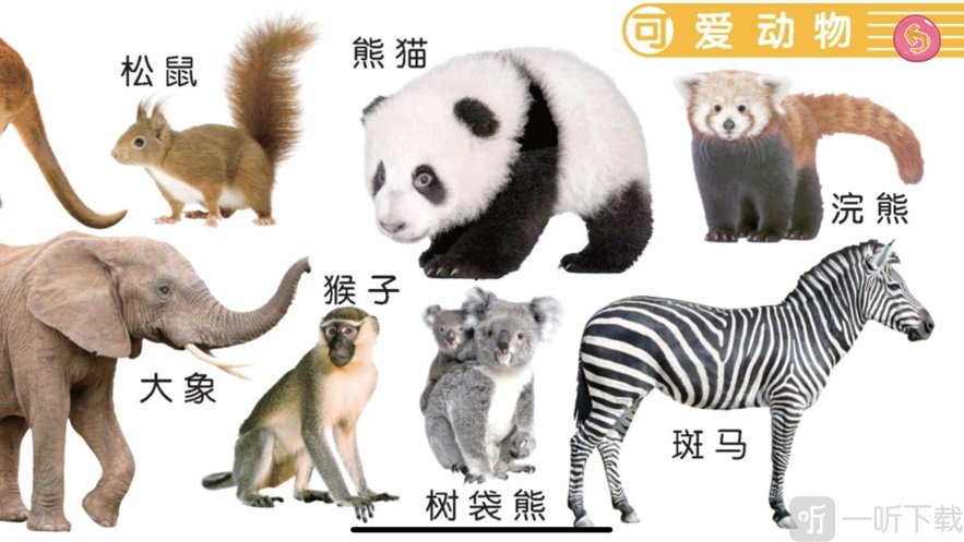 萌萌魔法动物园