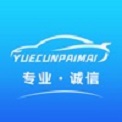 悦存拍车