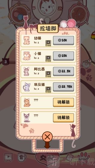 云撸猫咪