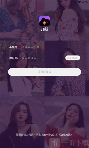 几枝交友