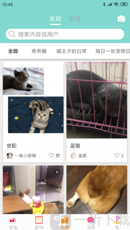 坚果墙