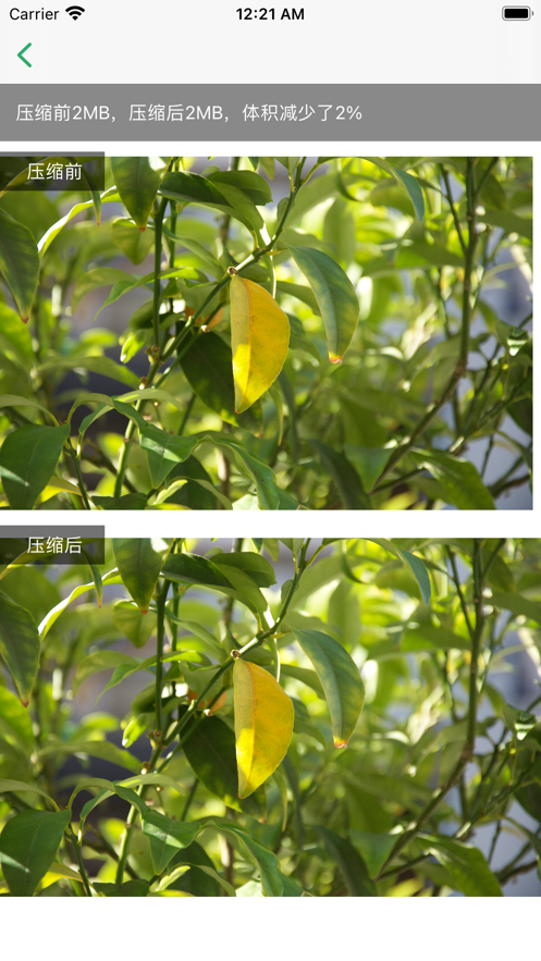 手机清理专家