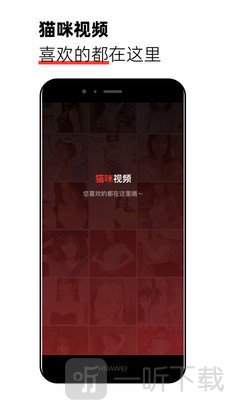猫咪视频剪辑