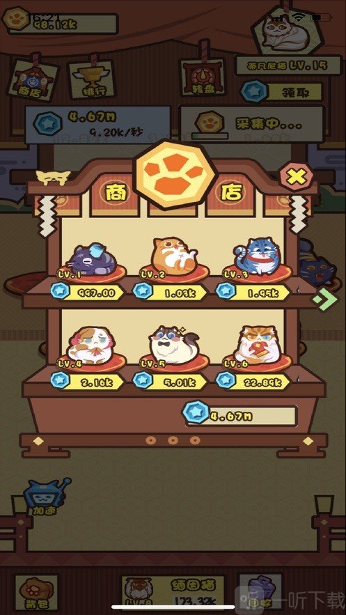 养猫计划