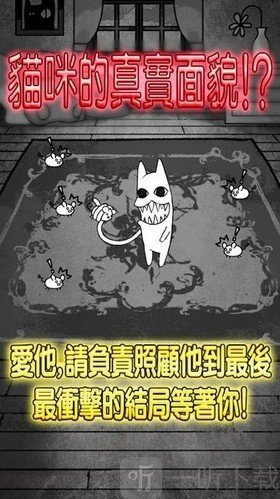 世界奇喵物語