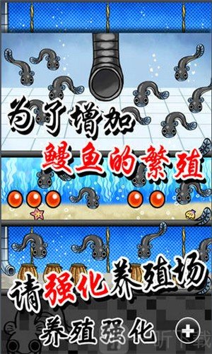 鳗鱼养殖场