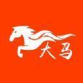 大马网课