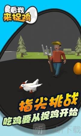 看我来捉鸡
