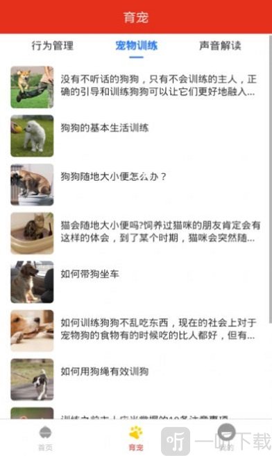 萌宠宠物之家