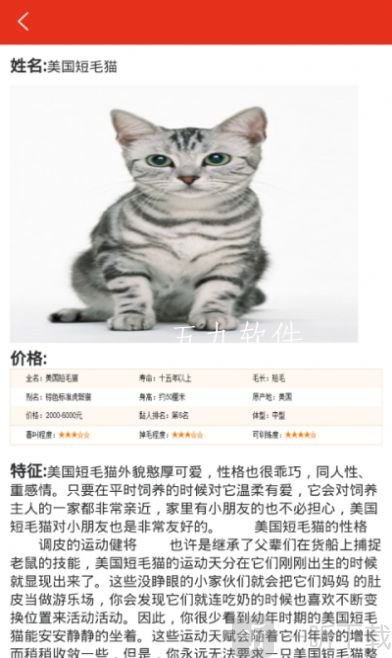 萌宠宠物之家