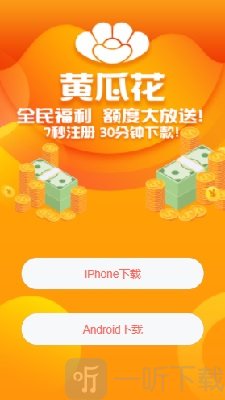黄瓜花