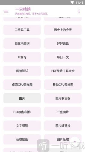 一只咕鸽