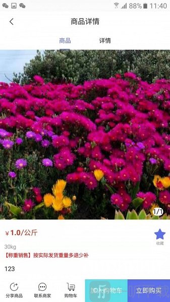 冻品云购