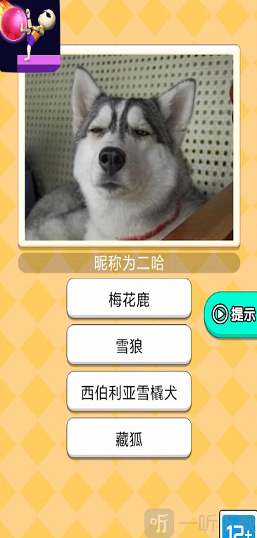 魔音球球