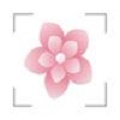 FlowersHerbs