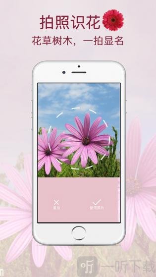 FlowersHerbs