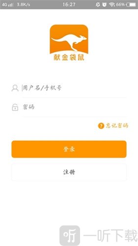 献金袋鼠