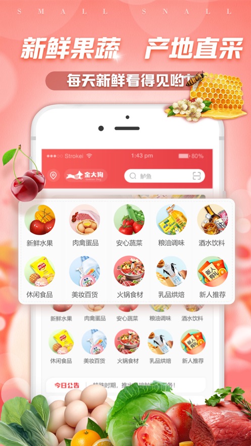 金大狗到家