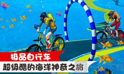 极品自行车