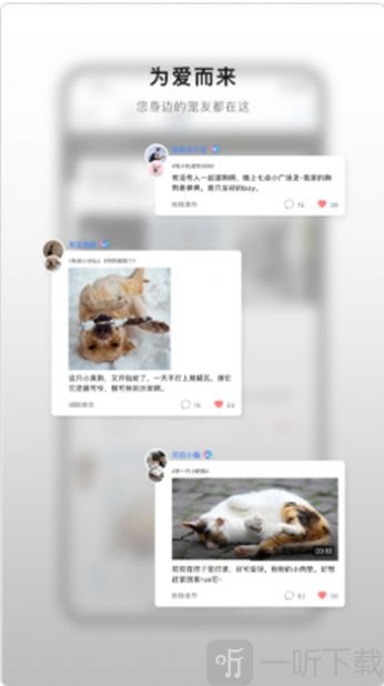 小它社区