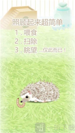 猬育成
