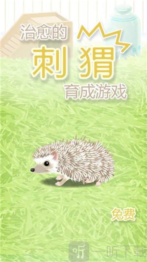 猬育成