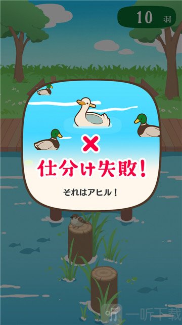 是鹅还是鸭