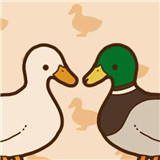 是鹅还是鸭