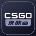CSGO皮膚寶