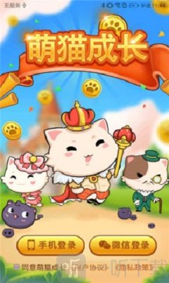 萌猫成长