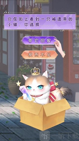 我的灵宠是只猫