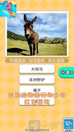自行车少年