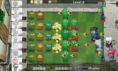 植物的战争