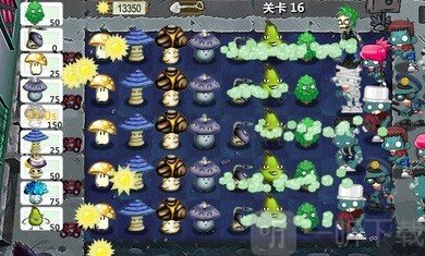 植物的战争