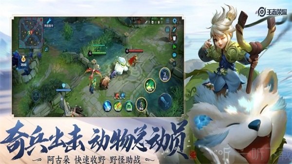 龜透框架工具