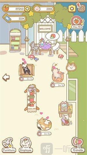 猫咪温泉