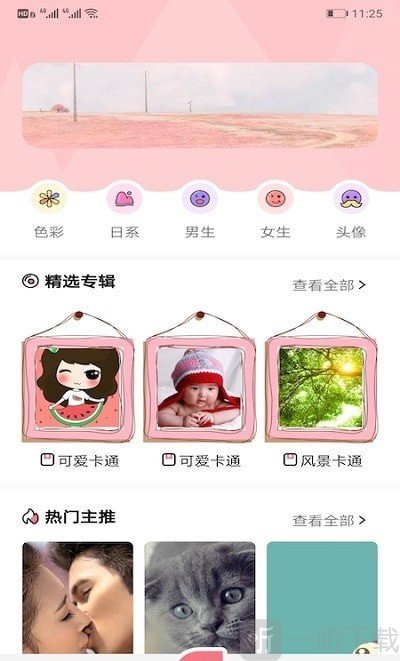 玉桂狗壁纸