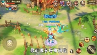 驯宠高手