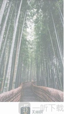 美丽树