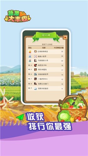 蔬菜大豐收