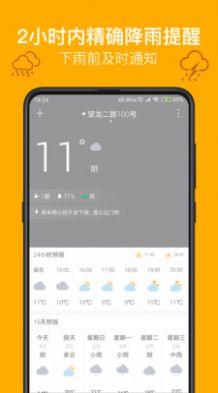 麻雀天气