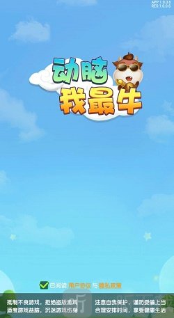 动脑我最牛