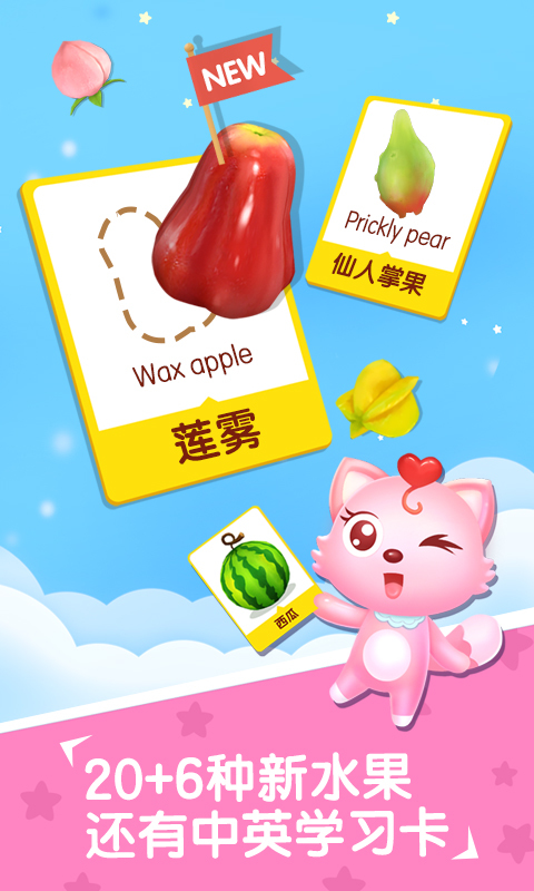 猫小帅水果拼盘