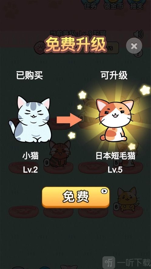 一起来撸猫