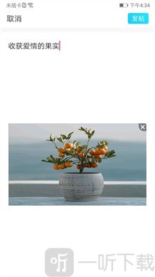 彩凤交友